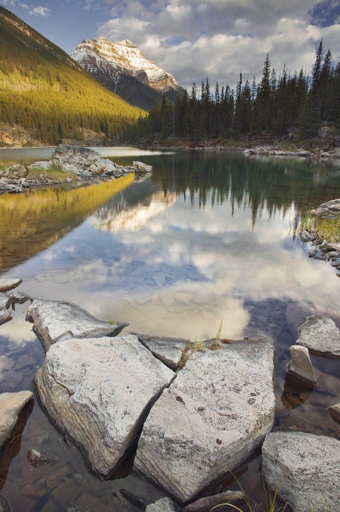 Detail of Horseshoe Lake and Mount Kerkeslin, Jasper National Park, Alberta, Canada by Corbis