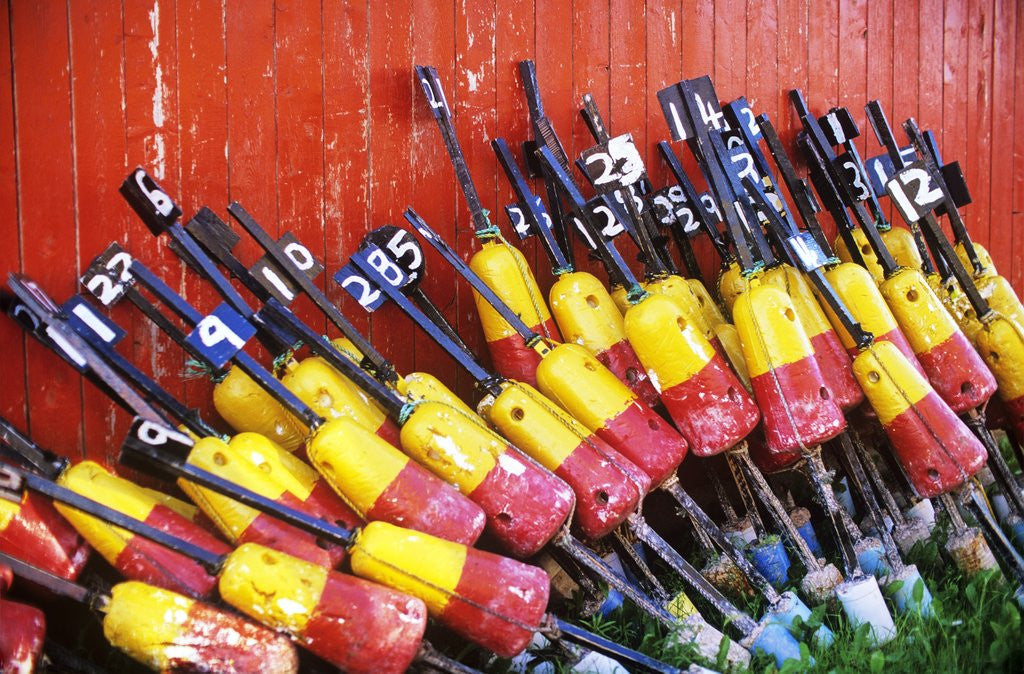 Detail of Lobster, Buoys, Judes Point, Tignish, Prince Edward Island, Canada by Corbis