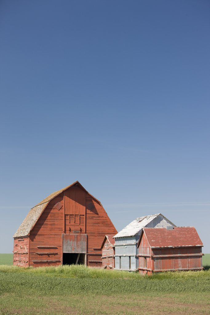 Detail of Red Barns in the Middle of a Large Flat Field in the Prairie Land of Southern Saskatchewan, Canada by Corbis