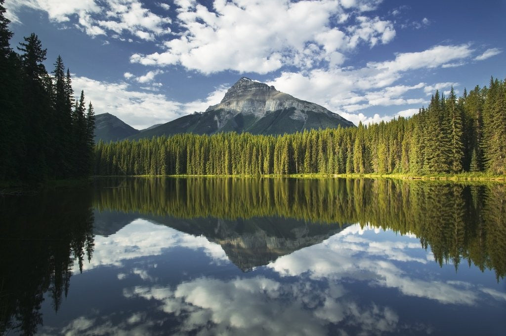 Detail of Pilot Point with Pilot Mountain, Banff National Park, Alberta, Canada by Corbis