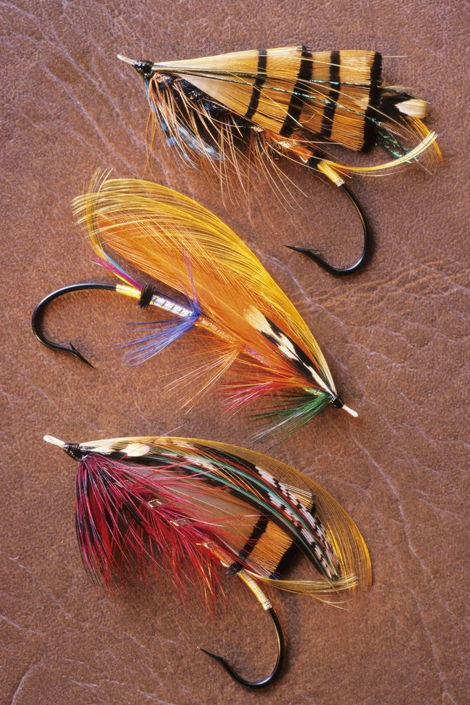 Detail of Flyfishing: Full Dressed Atlantic Salmon Flies, Canada. by Corbis