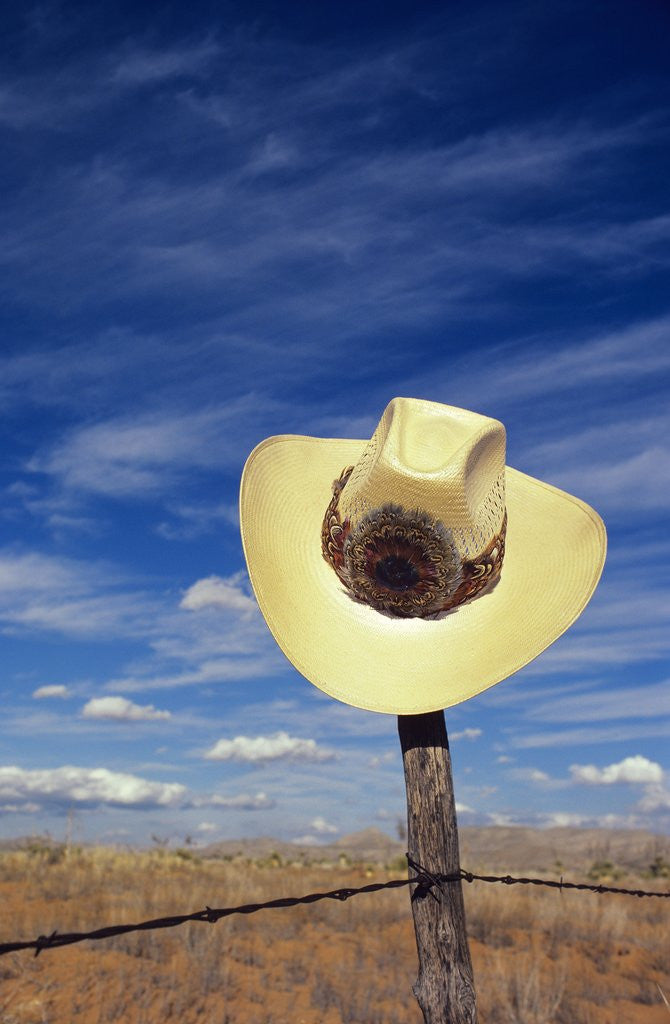 Detail of Cowboy Hat on Barbed Wire Fence, British Columbia, Canada. by Corbis