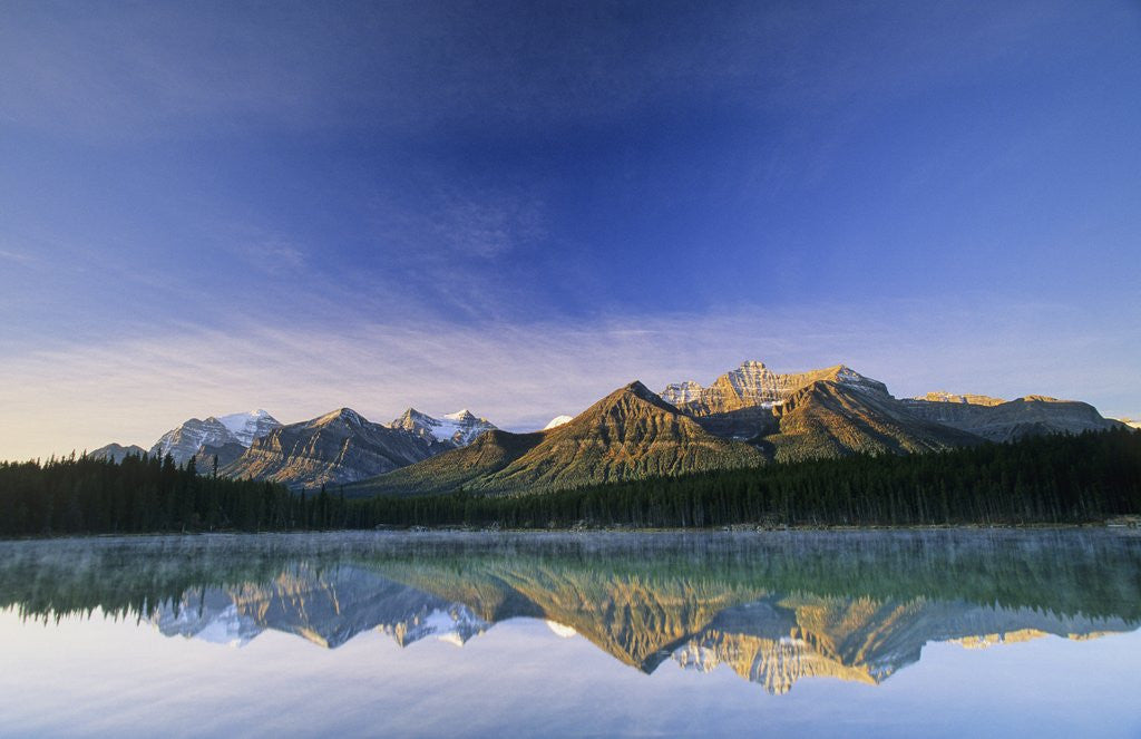 Detail of Herbert Lake, Banff National Park, Alberta, Canada. by Corbis