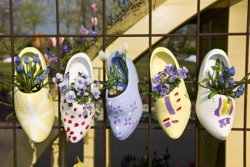 Detail of Dutch wooden shoes with flowers hanging in Keukenhof Gardens by Corbis