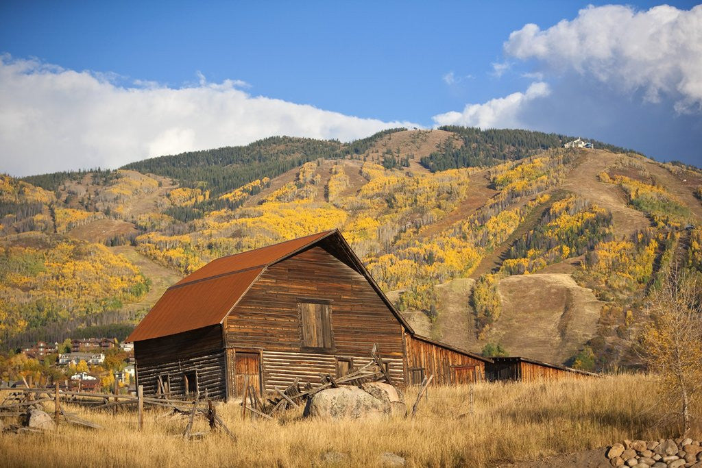 Detail of The famous Steamboat Barn, Steamboat Springs Ski Area in the background with yellow aspen trees, Colorado by Corbis