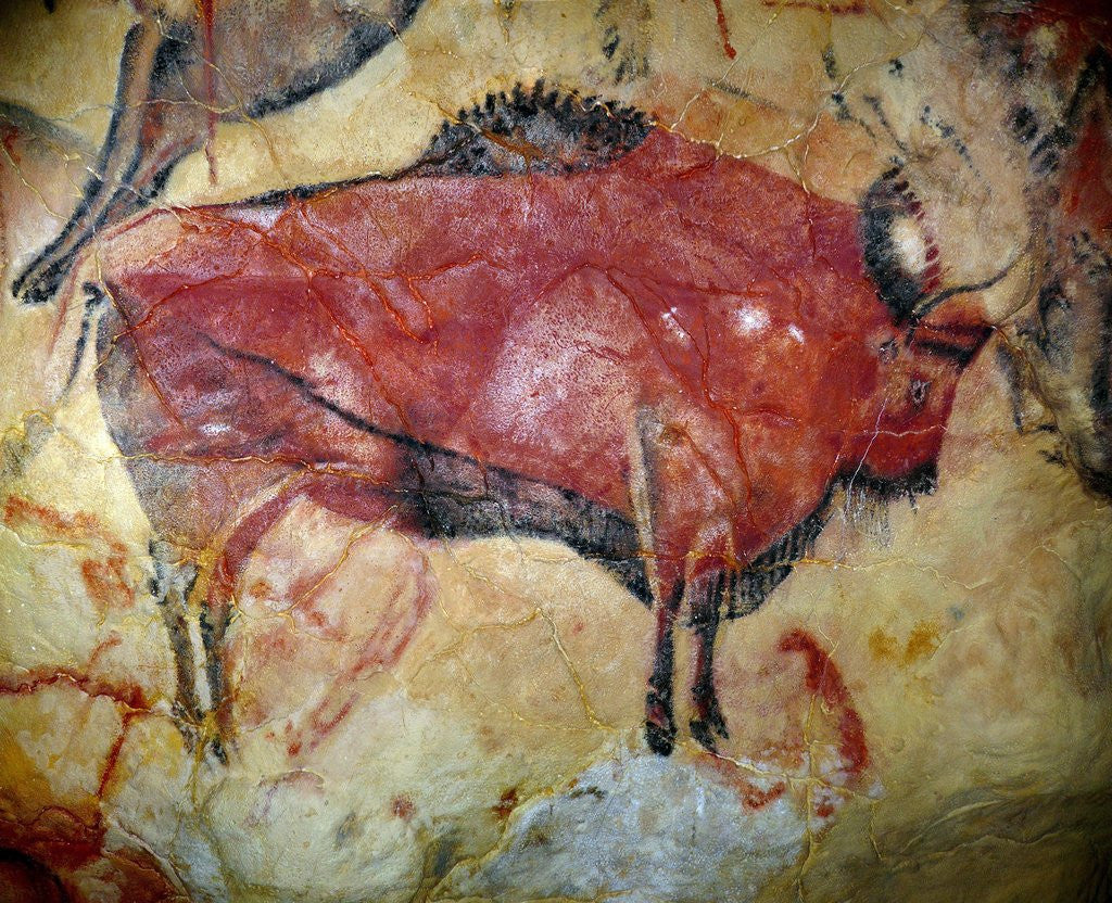 Detail of Cave painting of bison at Altamira by Corbis