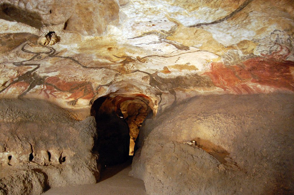 Detail of Great Hall of Bulls at caves of Lascaux by Corbis