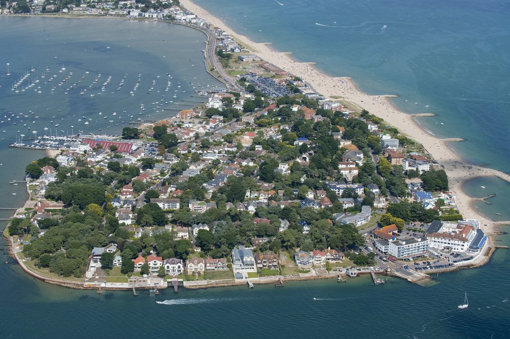 Detail of Luxury houses on Sandbanks in Poole Harbor by Corbis