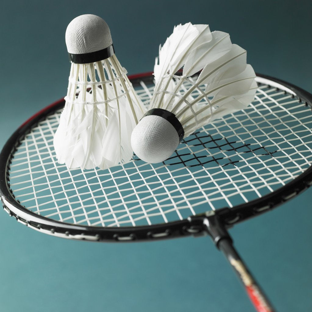 Detail of A racket and birdie by Corbis