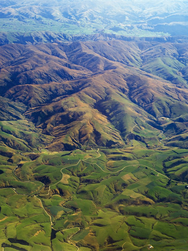 Detail of Rolling hills in Southland Region of New Zealand by Corbis