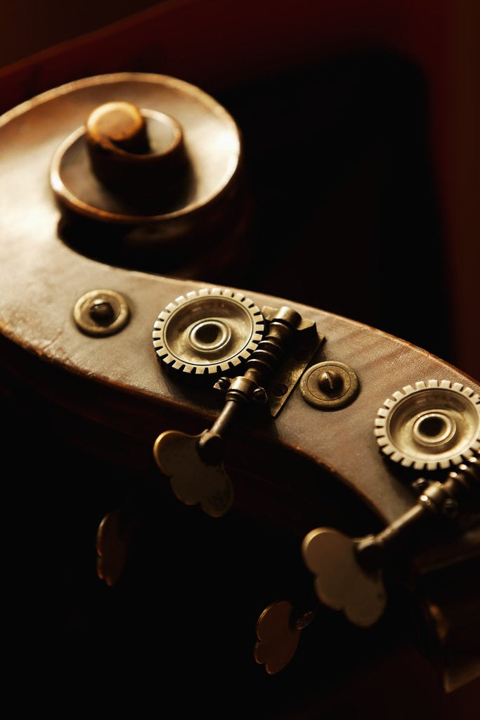 Detail of Double bass headstock by Corbis