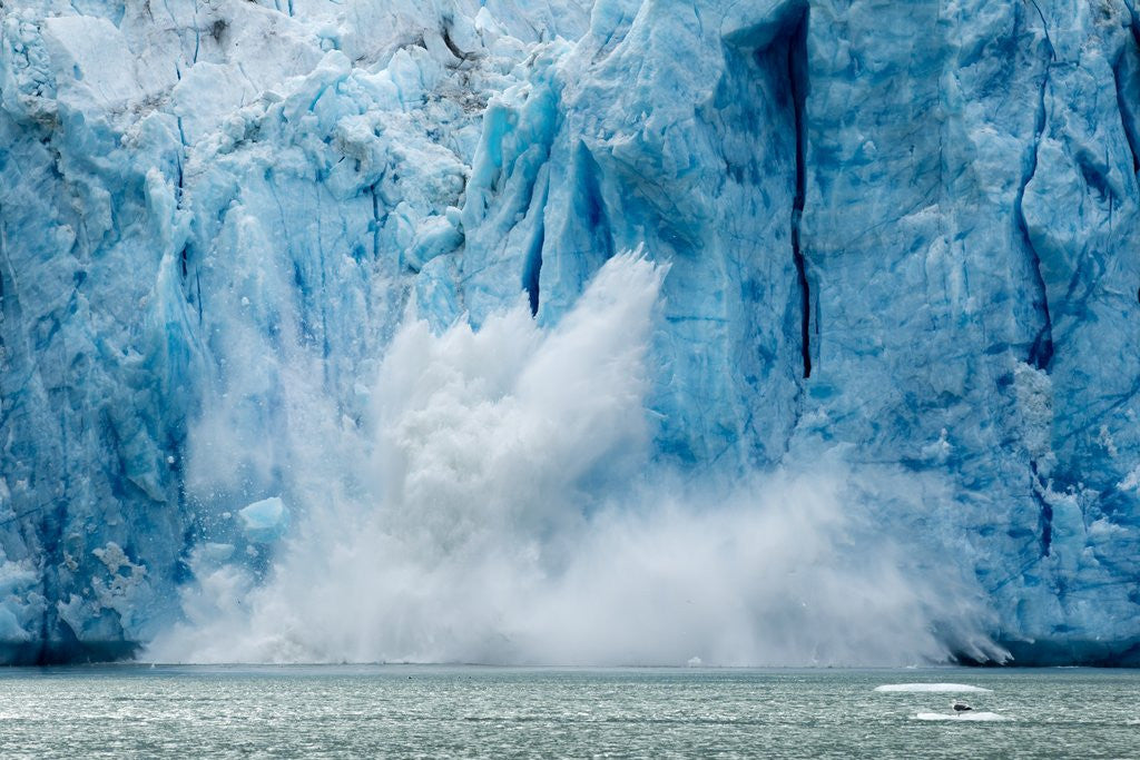 Detail of Iceberg Calving from Glacier, Alaska by Corbis