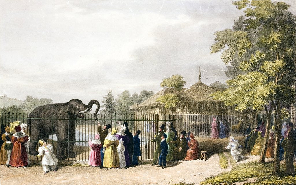 Detail of Visitors to the London Zoological Gardens in Regent's Park. The Victorian illustration shows an animal house in the Strawberry Hill style, an elephant, a very odd rhinocerous and groups of fashionably dressed onlookers, including children. by Corbis