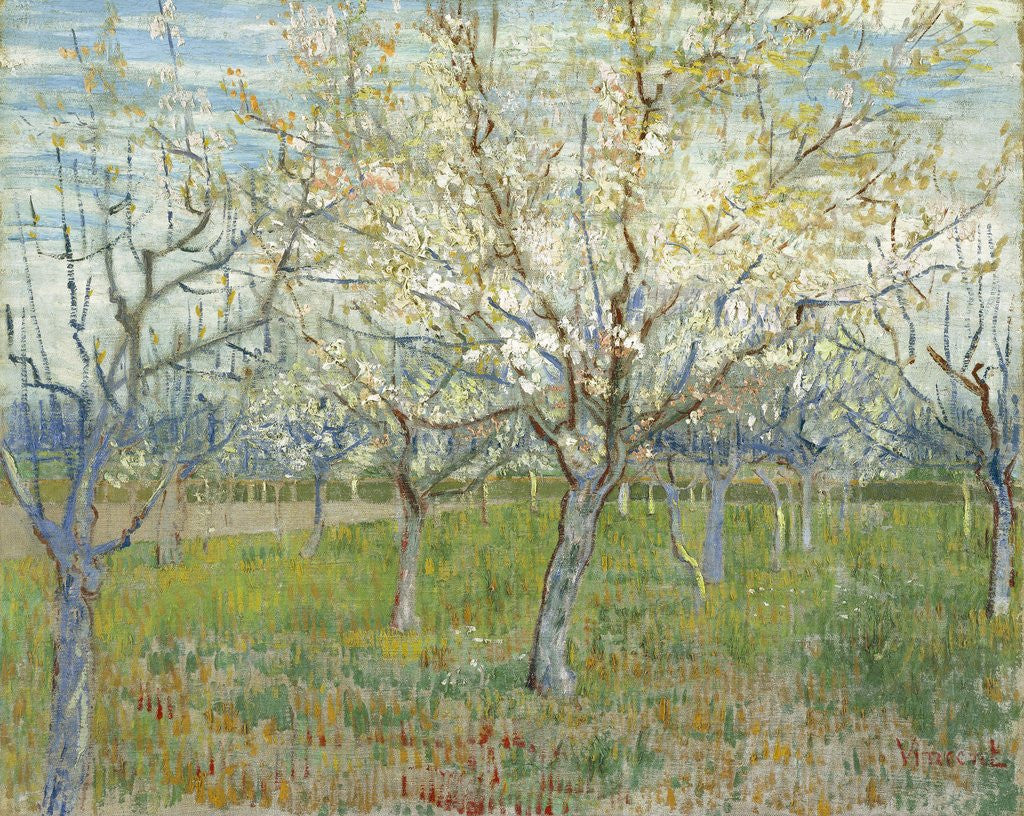 Detail of The Pink Orchard by Vincent Van Gogh