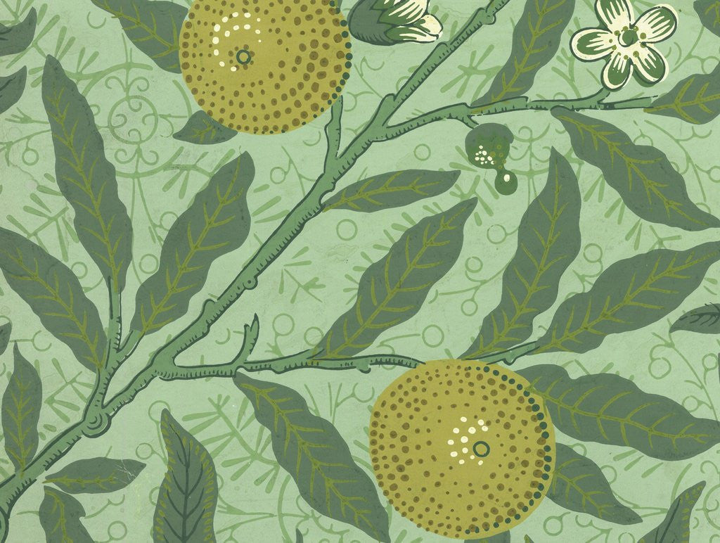 Detail of William Morris wallpaper sample with lemons and branches by Corbis