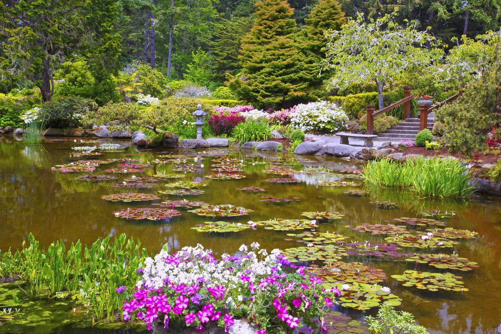 Detail of Shore Acres State Park, Coos Bay Oregon, South Oregon Coast. Pacific Northwest. by Corbis