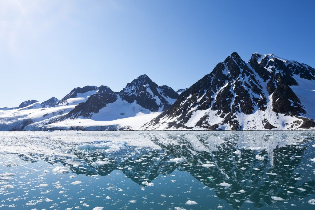 Detail of Arctic Landscape, Svalbard by Corbis