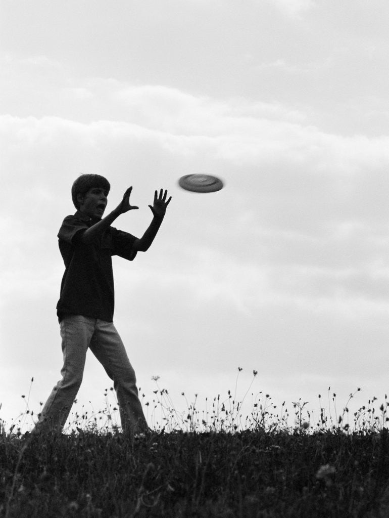 Detail of 1960s 1970s silhouette of boy catching frisbee in field by Corbis