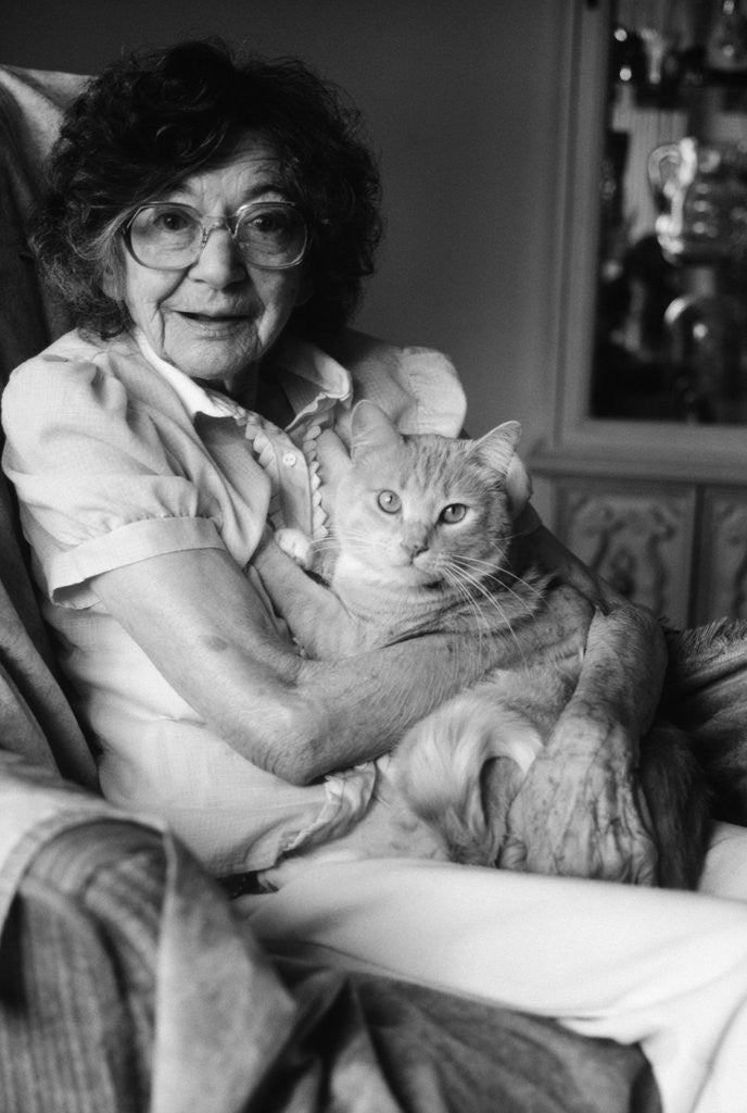 Detail of 1980s elderly senior woman wear glasses holding tabby cat in her arms lap pet geriatric companion old age therapy animal looking at camera by Corbis