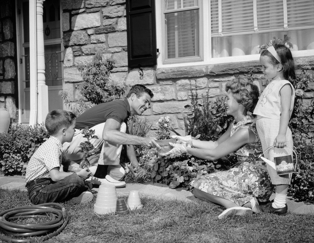 Detail of 1960s family yard garden by Corbis