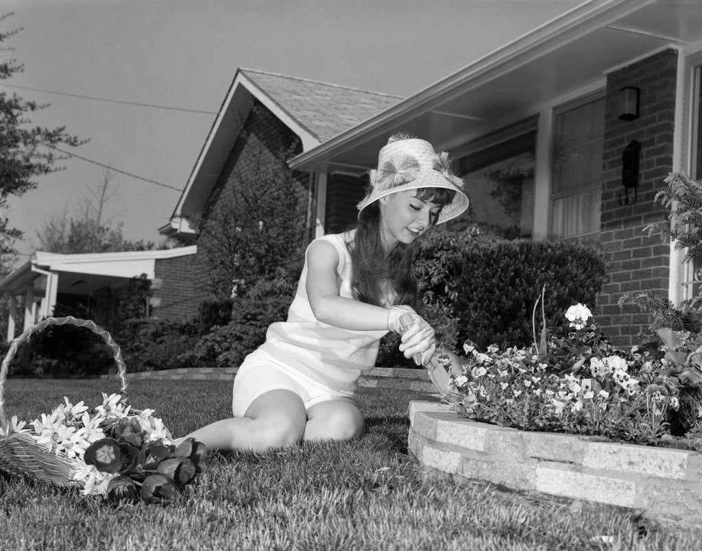 Detail of 1960s young woman gardening in front lawn of brick house by Corbis