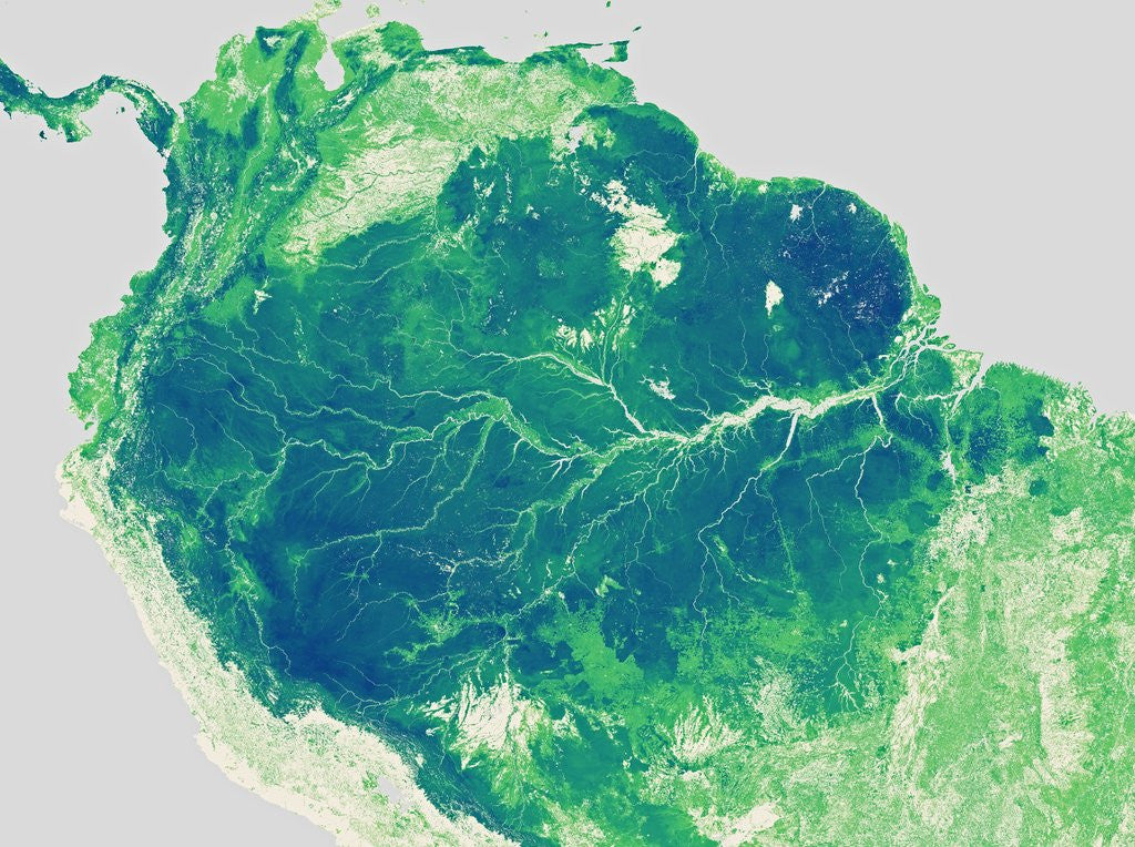 Detail of Forest Height Map of the Amazon Basin by Corbis