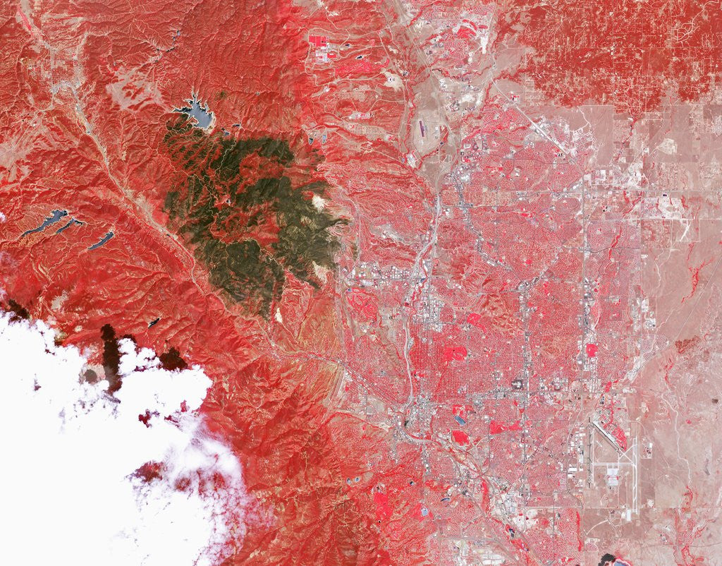 Detail of Waldo Canyon Fire Burn Scar in Colorado by Corbis