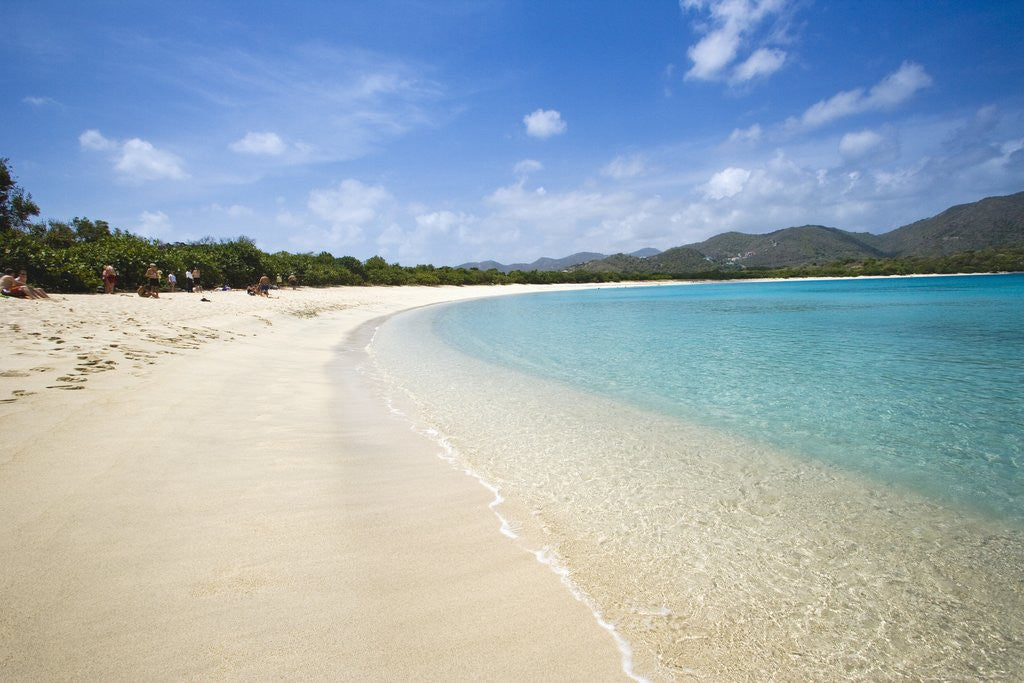 Detail of Tropical beach, Long Bay, Beef Island, British Virgin Islands by Corbis