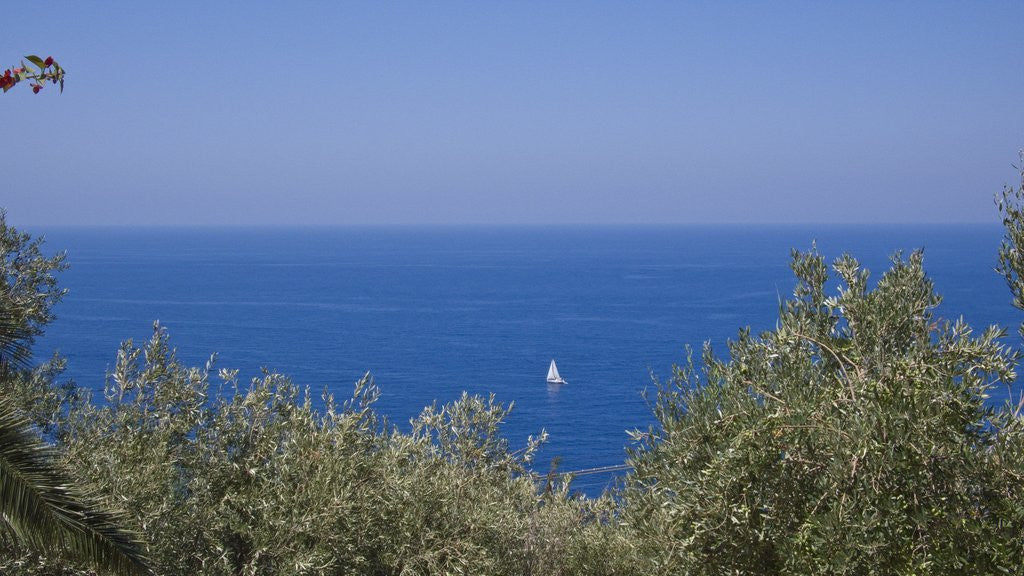 Detail of Seascape, Malfa, Sicily, Italy by Corbis