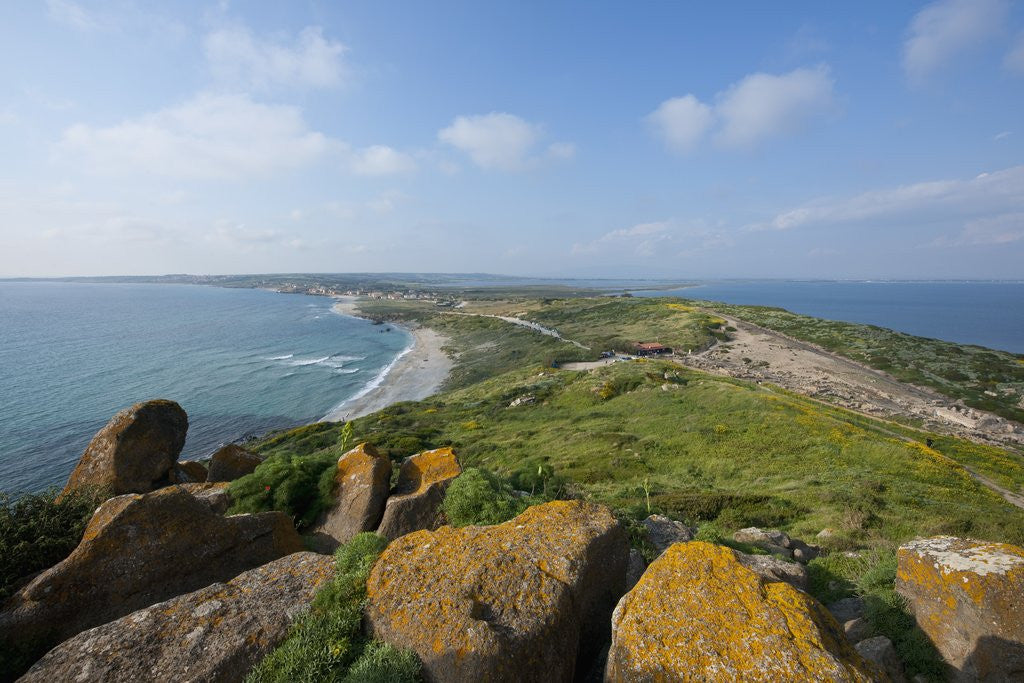 Detail of Landscape at Capo San Marco, near Tharros, Cabras, Sardinia, Italy by Corbis