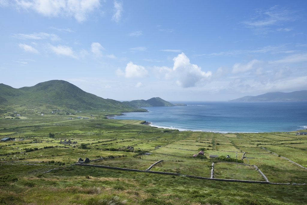 Detail of Landscape near Waterville, Ring of Kerry, Kerry County, Ireland by Corbis