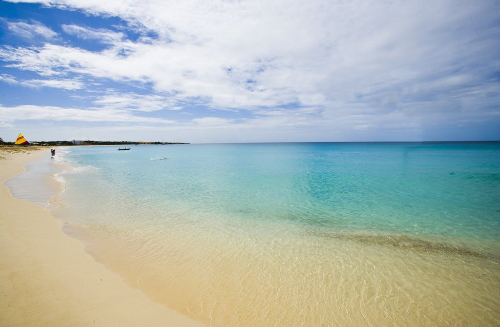 Detail of Landscape with beach and turquoise sea, Meads Bay, Anguilla, Lesser Antilles by Corbis