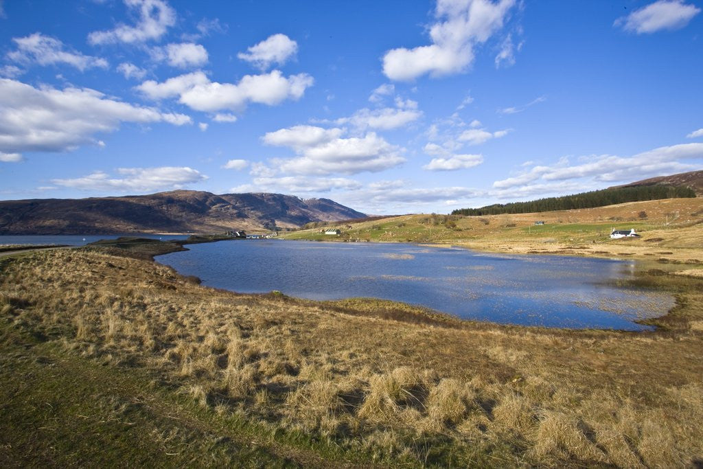 Detail of Landscape with lake, Applecross, Scotland, United Kingdom by Corbis