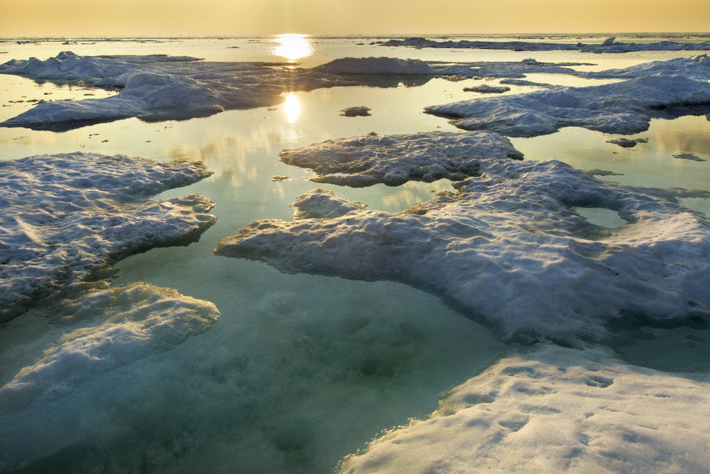 Detail of Melting Sea Ice at Sunset Hudson Bay, Canada by Corbis