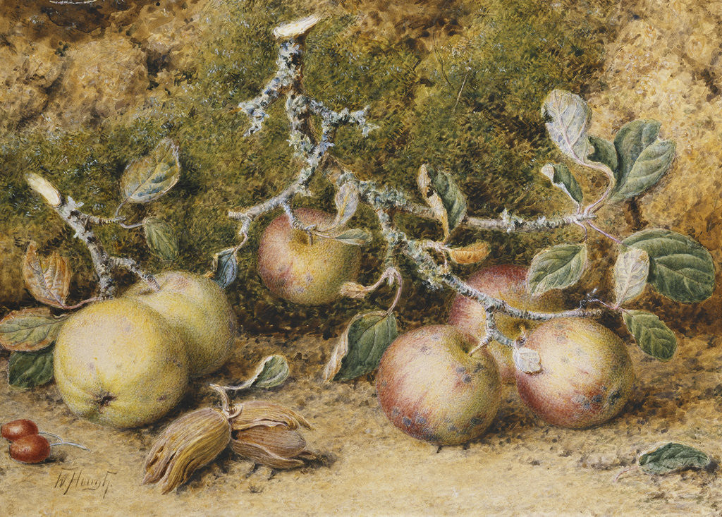 Detail of Still Life with Apples, Hazelnuts and Rosehips by William Hough