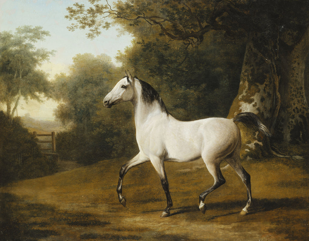 Detail of A Grey Arab Stallion in a Wooded Landscape by Jacques Laurent Agasse