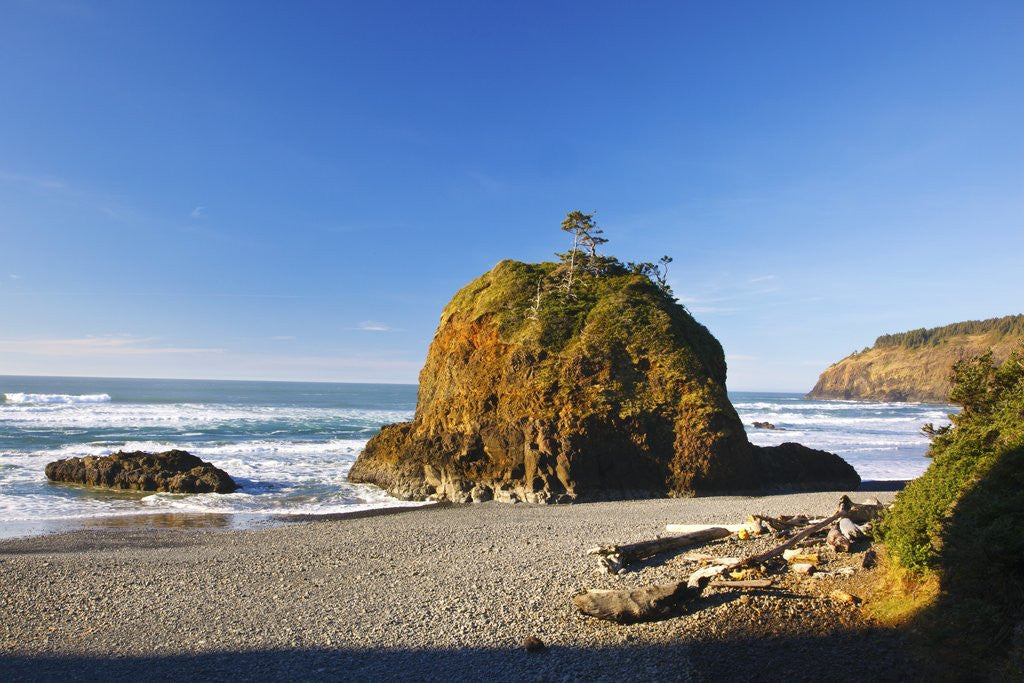 Detail of Rock formations at Short Beach with Cape Meares, Oregon, USA by Corbis