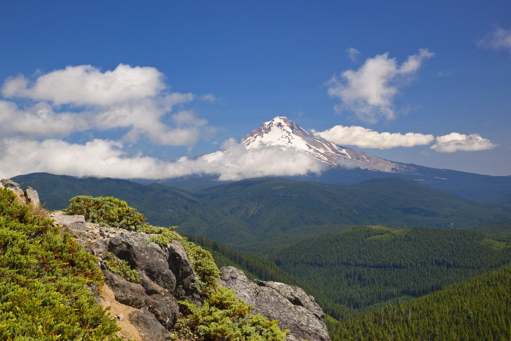 Detail of Mt. Hood, Mt. Hood National Forest, Oregon, USA by Corbis