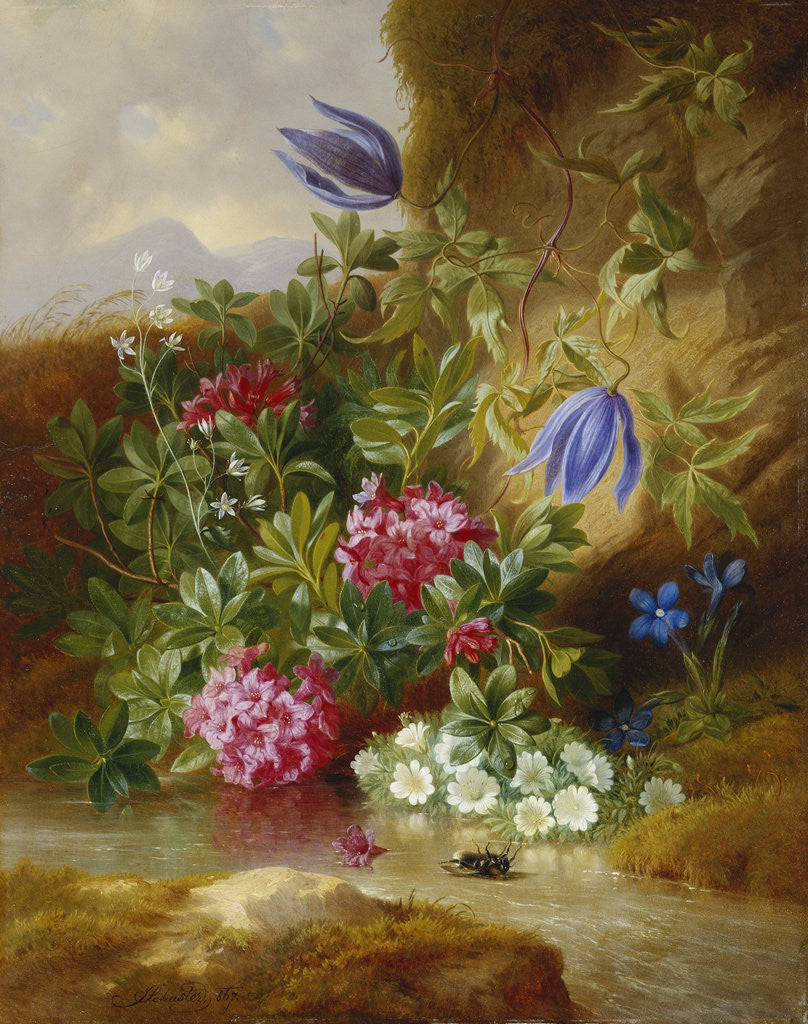 Detail of Alpine Flowers by Josef Schuster