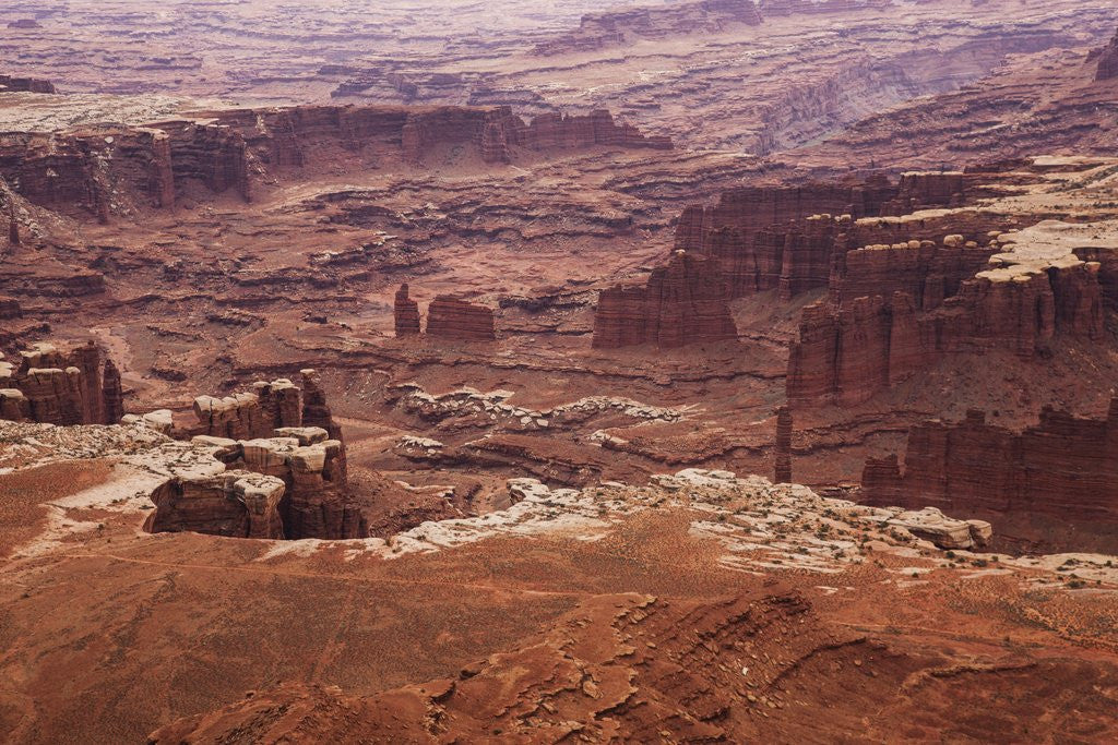 Detail of Desert landscape, Canyonlands National Park, Utah. USA by Corbis