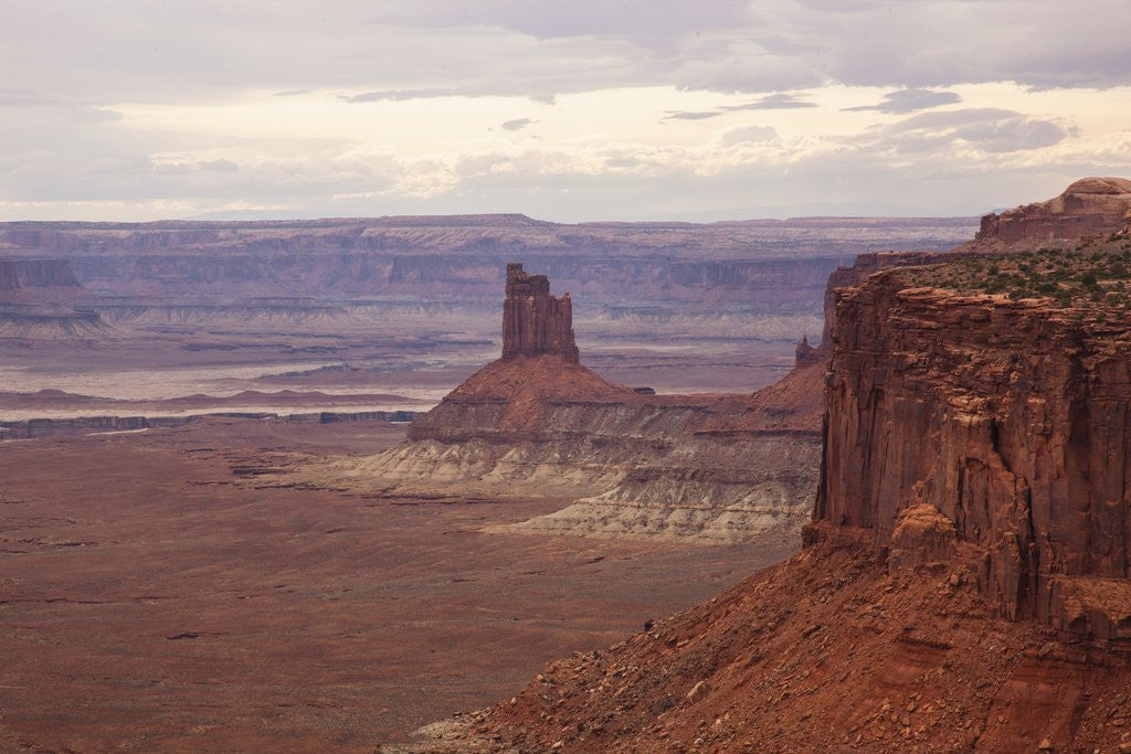 Detail of Majestic desert landscape, Canyonlands National Park, Utah. USA by Corbis