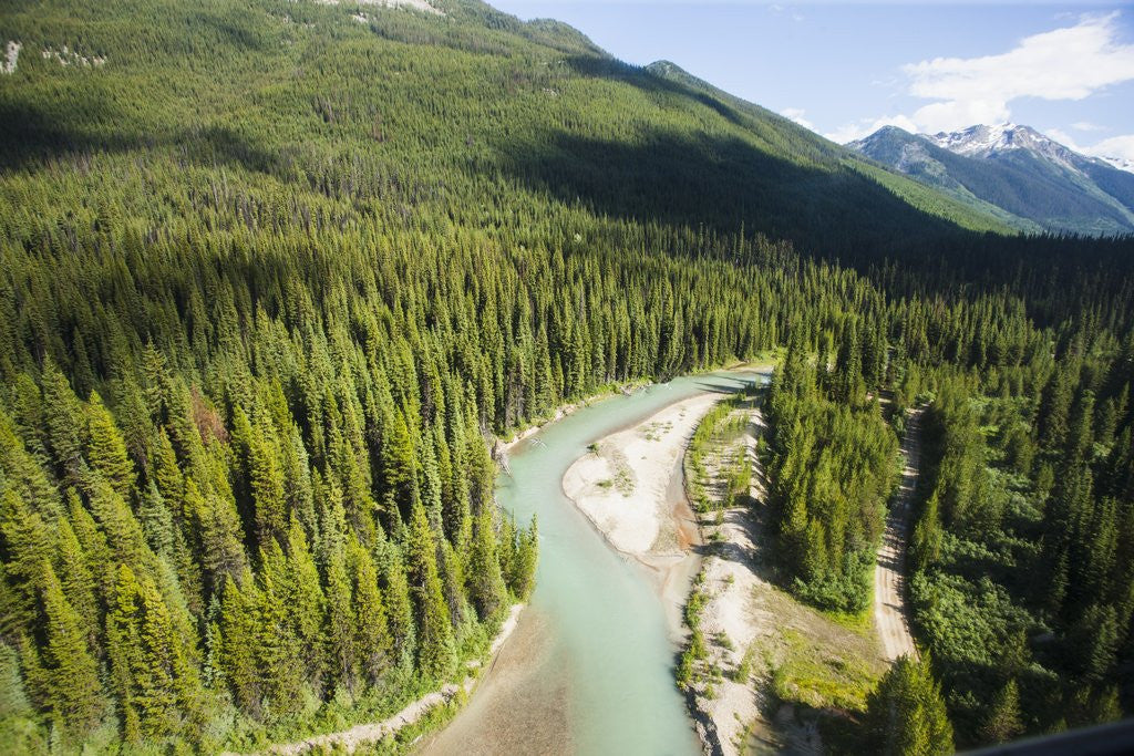 Detail of Majestic mountain landscape, Revelstoke, Columbia-Showup Regional District, British Columbia, Canada by Corbis