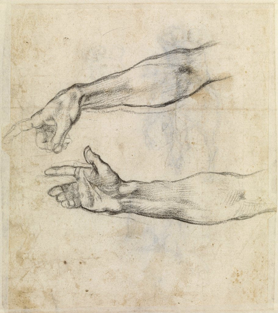 Detail of Study of two arms for 'The Drunkenness of Noah' in the Sistine Chapel by Michelangelo