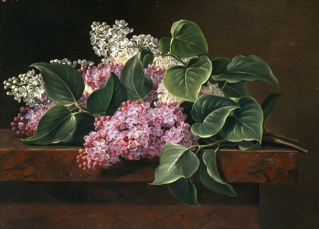 Detail of Lilac on a Ledge by Johan Laurentz Jensen