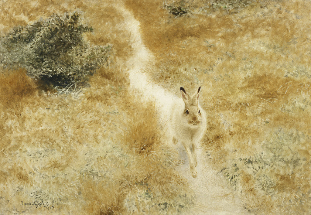 Detail of A Winter-Hare in a Landscape by Bruno Liljefors