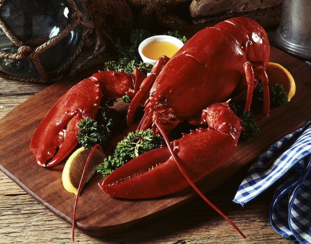 Detail of cooked Lobster On Wooden Platter With Lemon Wedge And Drawn Butter by Corbis