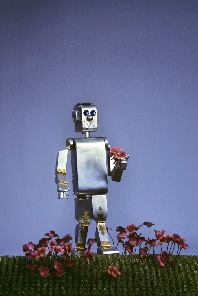 Detail of 1980s Futuristic Silver Robot Toy Walking In Flowers by Corbis