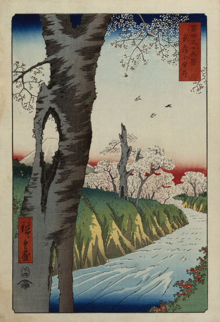 Detail of Koganei in Musashi Province by Ando Hiroshige from the series 'Thirty-six Views of Mt. Fuji' by Corbis