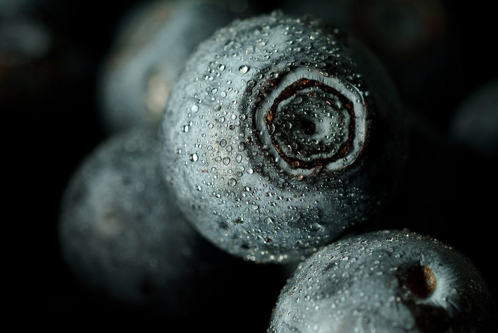 Detail of Blueberry by Corbis