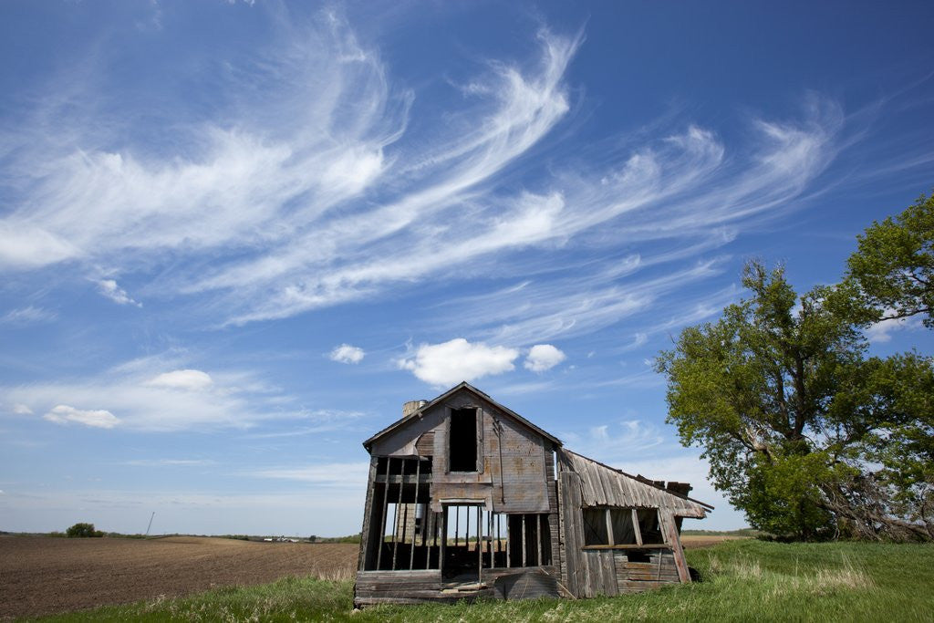 Detail of Abandoned Farm, Welch, Minnesota by Corbis